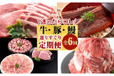 t009-003 【定期便・全6回】迷ったらコレ！鹿児島県産黒牛・豚・極うなぎ 選りすぐり定期便