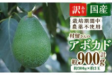a0-180 【訳あり・期間限定】村留さんの国産アボカド 約900g(約300g×約3玉)