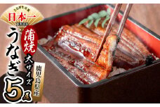 鹿児島県産 伊崎田のうなぎ蒲焼 大＜170g以上＞× 5尾(計850g以上) c6-081
