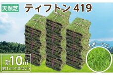 天然芝 サッカー場や野球場に！＜ティフトン419＞ 10平米 c5-023