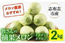 【期間限定・数量限定】鹿児島県志布志産 摘果メロン(子メロン・小メロン) 2kg a0-330-10