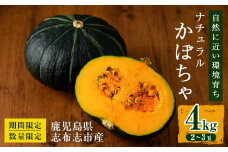 a3-124 【期間限定・数量限定】鹿児島県志布志産 ナチュラルかぼちゃ 4kg(2～3玉)