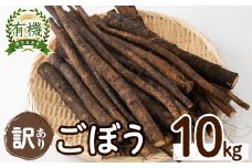 a0-198【訳あり・期間限定・数量限定】鹿児島県志布志産 有機土付きごぼう 10kg
