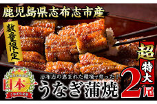 【数量限定】うなぎの大楠＜超特大＞2尾セット計380g以上(190g×2) a7-002
