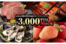 a0-207 志布志市観光特産品協会オンラインショップクーポン券(3000円分)