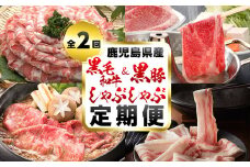 【定期便・全2回】A5等級の鹿児島県産黒毛和牛と黒豚のしゃぶしゃぶ定期便 t0033-003