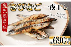 鹿児島県産 黒潮の恵み！天然物きびなご一夜干し約230g×3パック（合計約690g）a3-191