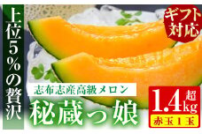a5-208 【ギフト対応】鹿児島県志布志産の高級メロン『秘蔵っ娘』(赤玉1個・1.4kg以上)
