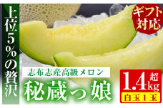 a5-209 【ギフト対応】鹿児島県志布志産の高級メロン『秘蔵っ娘』(白玉1個・1.4kg以上)