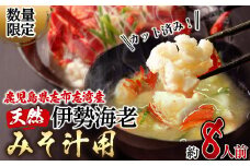 【数量限定】鹿児島県志布志湾産 カット済み天然伊勢海老＜味噌汁用＞計540g(270g×2P) b3-008