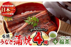 極うなぎ蒲焼110g以上×4尾(計440g以上)+福茶100g b3-007