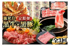 t0033-001 【定期便全3回】鹿児島黒牛・黒豚・餃子の定期便 計3.6kg以上