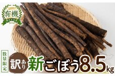 【訳あり・数量限定】【夏・秋出荷】鹿児島県志布志産 有機土付き新ごぼう 8.5kg ごぼう ゴボウ 牛蒡 野菜 根菜 有機土付き 有機JAS認証 サイズ不揃い 訳あり きんぴら牛蒡 豚汁 おせち a1-030