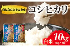 鹿児島県志布志市産こしひかり 精白米 計10kg(5kg×2袋) a6-031-R5
