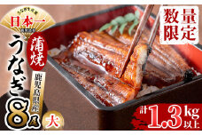 鹿児島県産 伊崎田のうなぎ蒲焼 大＜170g以上＞× 8尾(計1.3kg以上) e4-005