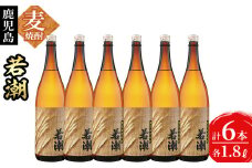 ＜入金確認後、2週間以内に発送！＞鹿児島麦焼酎＜若潮＞(各1.8L・計6本) c4-012-2w