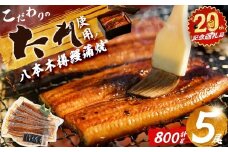 【志布志市制20周年記念】【数量限定】国産 八本木樽鰻の蒲焼(160g以上×5尾) うなぎ 鰻 ウナギ 5尾 国産 九州産 蒲焼き かばやき 冷凍 うな丼 うな重 ひつまぶし タレ 山椒 ランキング 人気 b5-192