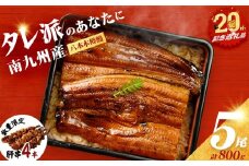 【志布志市制20周年記念】【数量限定】国産 八本木樽鰻の蒲焼(160g以上×5尾) うなぎ肝串4本セット うなぎ 鰻 ウナギ 5尾 国産 九州産 蒲焼き かばやき 冷凍 うな丼 うな重 ひつまぶし タレ 山椒 ランキング 人気 b5-192-12-km