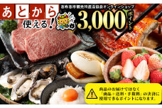 志布志市観光特産品協会オンラインショップポイント(3,000円分) a0-241-o
