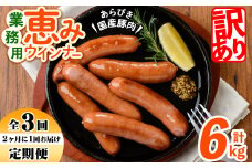 【定期便全3回】2ヶ月に1回お届け！訳あり・業務用！恵みウインナー計6kg t0033-007