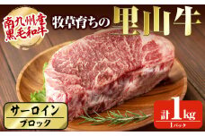 牧草育ちの里山牛 サーロインブロック 1kg c8-025