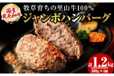 国産黒毛和牛 牧草育ちの里山牛100%使用！手作りジャンボハンバーグ 1.2kg (300g×4個） 黒毛和牛 和牛 肉 牛肉 国産 ハンバーグ ジャンボハンバーグ 冷凍ハンバーグ 時短 真空パック 小分け バーベキュー a5-283