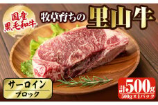 国産黒毛和牛 牧草育ちの里山牛 サーロインブロック 500g 黒毛和牛 和牛 肉 牛肉 国産 サーロイン ブロック 赤身 ステーキ b1-015