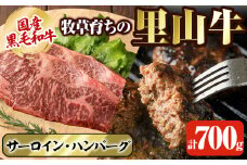 国産黒毛和牛 牧草育ちの里山牛 サーロインステーキ＆手作りハンバーグセット 計700g 黒毛和牛 和牛 肉 牛肉 国産 ハンバーグ サーロイン ステーキ b1-016