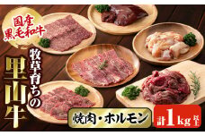 国産黒毛和牛 牧草育ちの里山牛 焼肉・ホルモンセット 計1kg以上 黒毛和牛 和牛 肉 牛肉 国産 ロース カルビ 赤身 切り落とし ホルモン 焼肉 BBQ b8-031