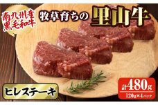 牧草育ちの里山牛 ヒレステーキ 計480g(120g×4P) b8-018