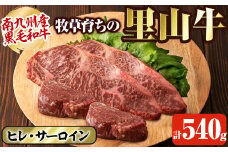 牧草育ちの里山牛 ステーキ食べ比べセット(ヒレ・サーロイン) 計540g b8-019
