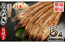 鹿児島県産 伊崎田のうなぎ白焼き ＜120g以上＞× 5尾(計600g以上) b7-005