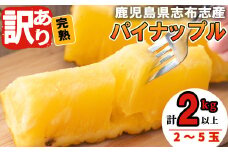 【訳あり】鹿児島県志布志市産 完熟パイナップル(計2kg以上) a5-234