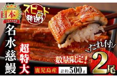 【数量限定】鹿児島県産うなぎ蒲焼 名水慈鰻 超特大サイズ２尾(1尾あたり236~270g)＜計約500g＞ うなぎ 鰻 ウナギ 2尾 国産 蒲焼 かばやき 冷凍 真空 真空パック 無頭 うな重 ひつまぶし タレ 山椒 a6-059