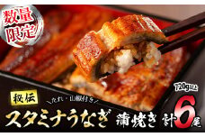 【数量限定】鹿児島県産！秘伝のスタミナうなぎ蒲焼き＜計6尾・計720g以上＞ c1-003