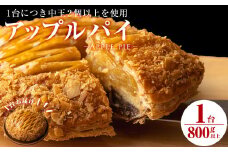 アップルパイ5号(直径17.5cm 800g以上) a4-059