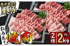 鹿児島県産黒豚焼肉セット(計2kg・黒豚肩ロース焼肉500g×2P 黒豚バラ焼肉500g×2P) b1-008