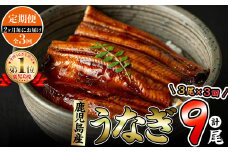 【定期便・全3回】2ヵ月に1回お届け！くすだ屋の極上うなぎ(150g×3尾)×3回＜計9尾・1350g以上＞ t007-008