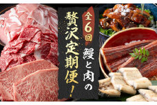 【定期便全6回】鰻と肉の贅沢定期便！鰻とお肉が交互に届くお楽しみ便  定期便 牛肉 ステーキ 鰻 豚肉 t0101-005