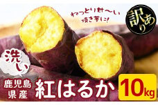 【訳あり】鹿児島県産さつまいも 洗い 紅はるか＜計10kg＞ a3-150