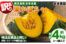 【訳あり】【期間限定・数量限定】＜先行予約受付中！R6年8月頃より順次発送予定＞鹿児島県志布志産 栗かぼちゃ(計4kg・2~3個ほど) a0-355