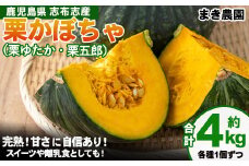 【期間限定・数量限定】＜先行予約受付中！R6年8月頃より順次発送予定＞鹿児島県志布志産 栗かぼちゃ(栗ゆたか・栗五郎)(計4kg) a1-085