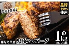 鹿児島県黒豚 100%使用 黒豚ハンバーグ(計1kg・100g×10個) a1-092
