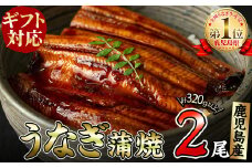 【ギフト対応】鹿児島県大隅産 くすだ屋の極上うなぎ2尾(計320g以上/160g×2) a5-259