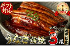 【ギフト対応】鹿児島県大隅産くすだ屋の極上うなぎ3尾(計360g以上/120g×3) a6-042