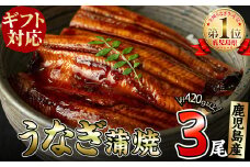 【ギフト対応】鹿児島県大隅産くすだ屋の極上うなぎ3尾(計420g以上/140g×3) a9-017