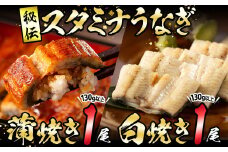 【数量限定】鹿児島県産！秘伝の特上スタミナうなぎ蒲焼き＆白焼きセット！＜計260g以上＞ a5-265