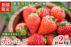 鹿児島県産いちご！ 品種おまかせ赤いちご8Pセット(計2kg・約270g×8P) c0-016