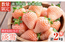 鹿児島県産いちご！特別栽培農産物 いちごの村から朝摘み「淡雪」8Pセット(計2kg・約270g×8P) e0-047