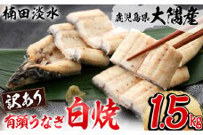 【訳あり】鹿児島県大隅産！楠田の極うなぎ白焼き 有頭1.5kg（約7尾～11尾） e7-014